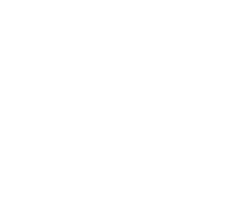 AlgoEnjin Logo